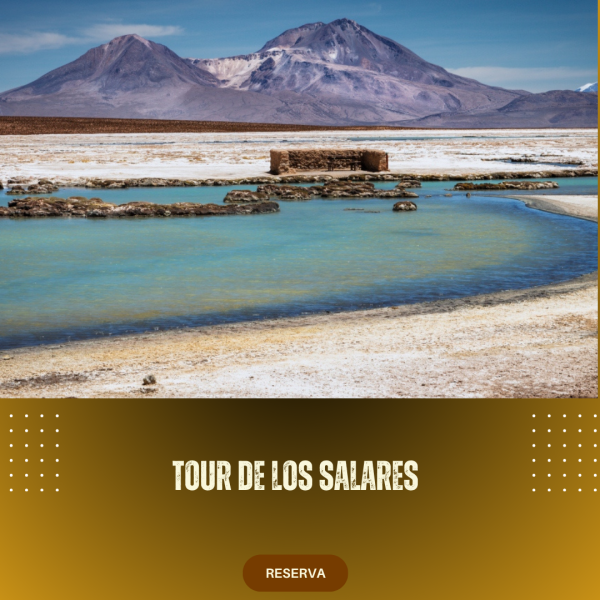 TOUR DE LOS SALARES