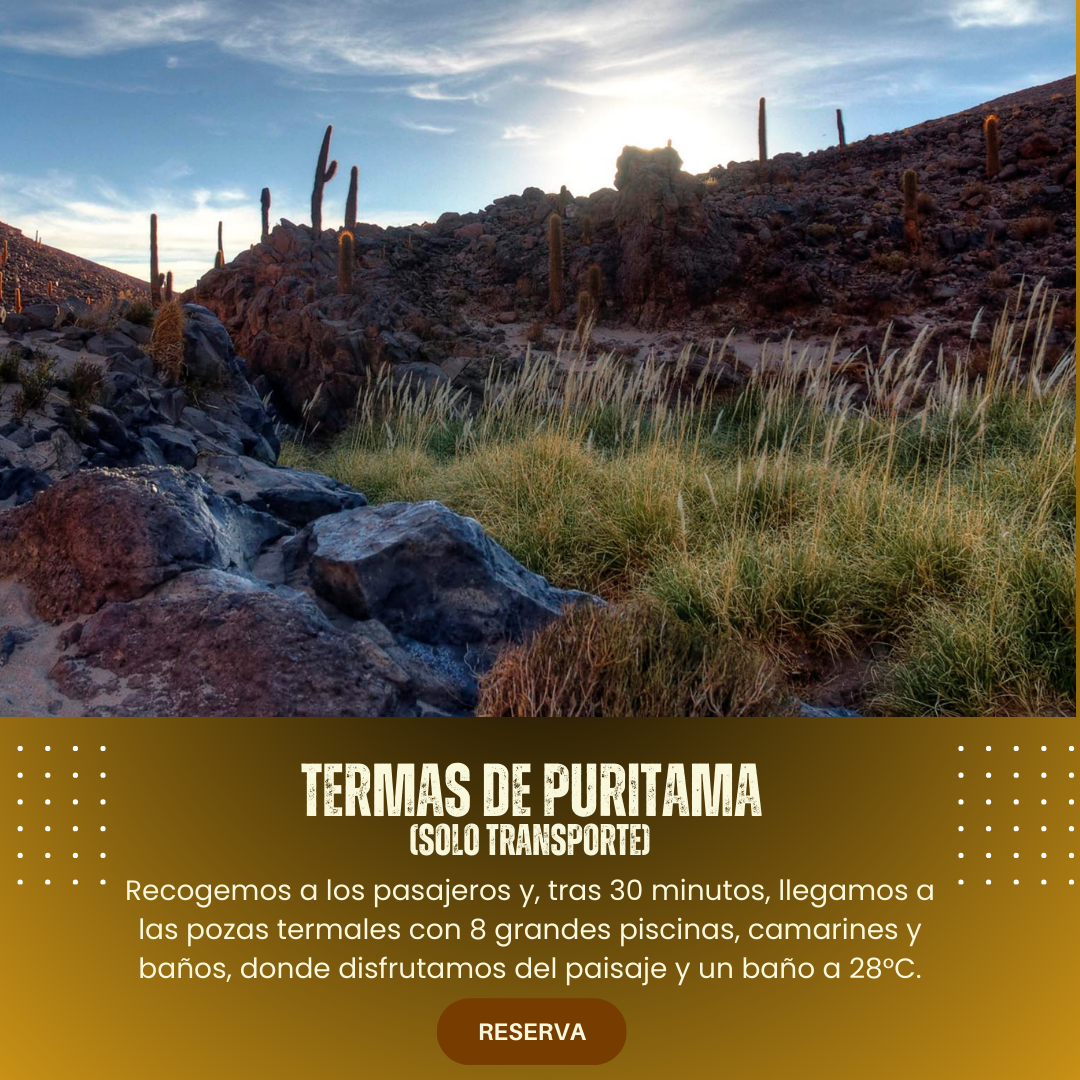 Termas de Puritama (solo transporte)