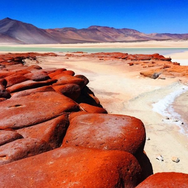 PIEDRAS ROJAS FULL DAY+ LAGUNAS ALTIPLANICAS