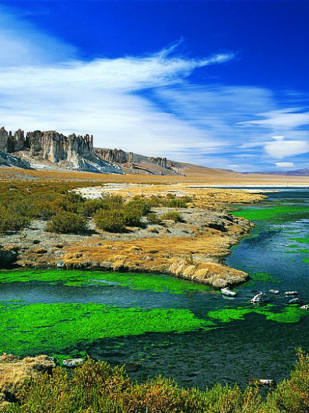 2664-3-salar-de-tara